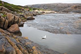 a large lake with a bird near the rocks