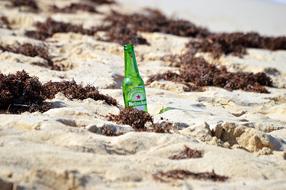 Beer Beach Sand