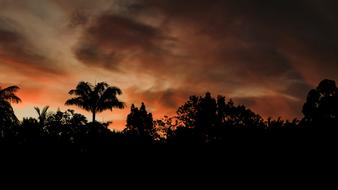 Horizon Clouds Sunset