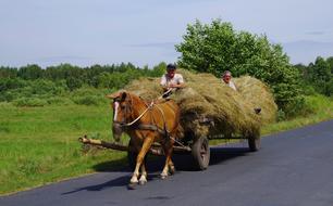 Machine Hay Horse Cart