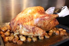 roast turkey with vegetables