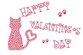 happy love day with the cat