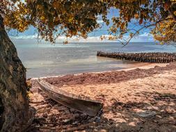 Boat Beach The Sea