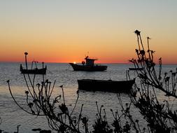 Sunset Boats