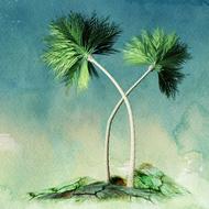 palm trees vacation spring