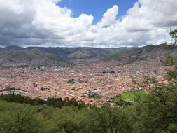 View of the city near the trees