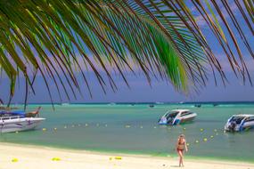 Beach Thailand Phiphi