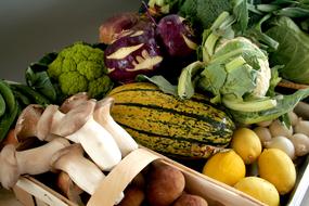 harvest of ripe vegetables