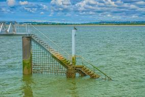 Sea Bridge Bird