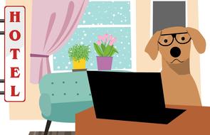 dog hotel pet clinic cute modern