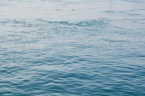 Wave Marine Blue