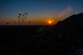 Sunset Nature Forest Castle