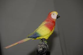 Perico Toy Child Tlapa De