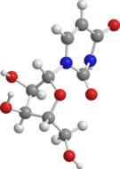 uridine nucleic acids as a 3d model