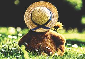 Teddy Bear Bears Stuffed