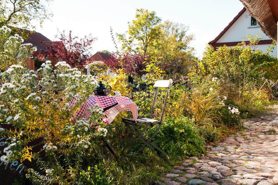 cozy table in the garden with a kettle
