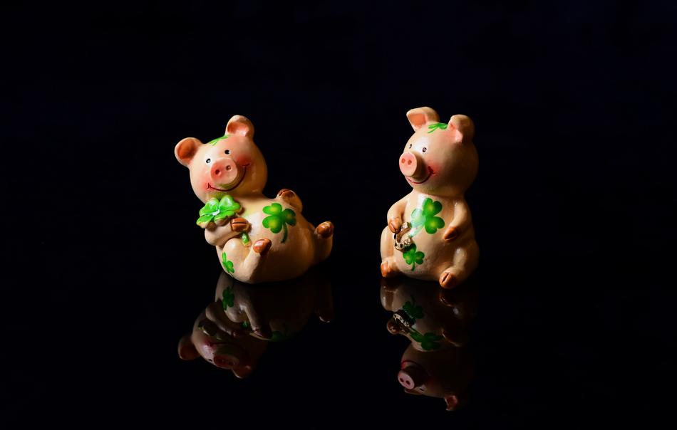 Lucky Pig Luck Charm