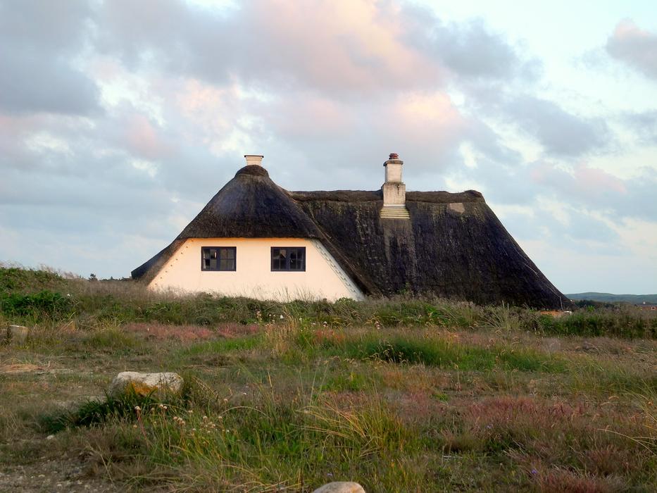 Thatched Roof House Reed free image download