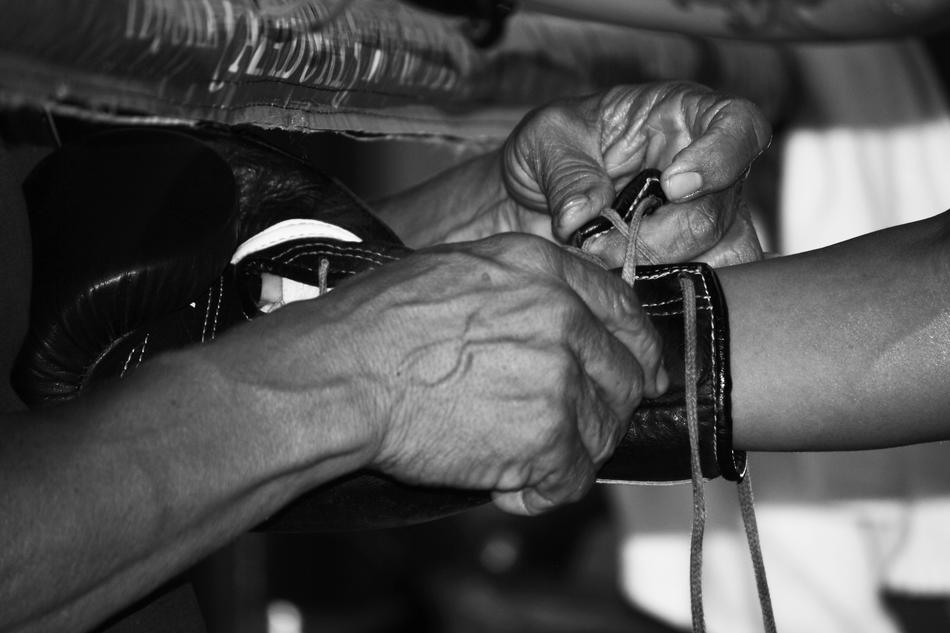 Box Gloves Sport