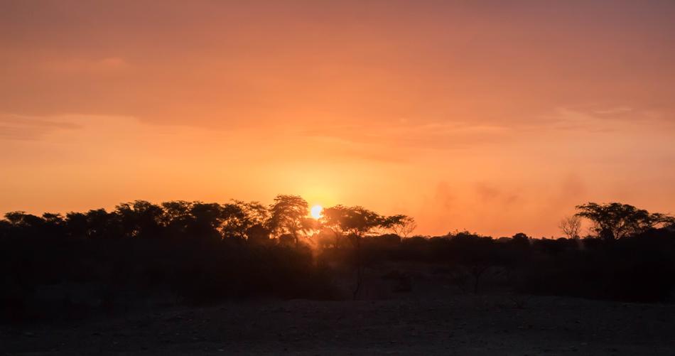 Sunset Trees Nature