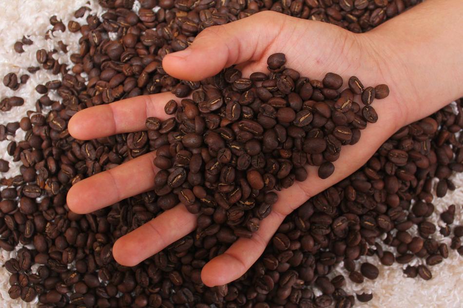 fragrant coffee beans in your hand
