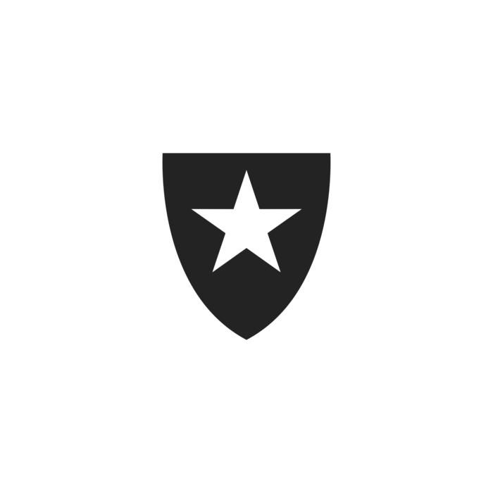 botafogo football