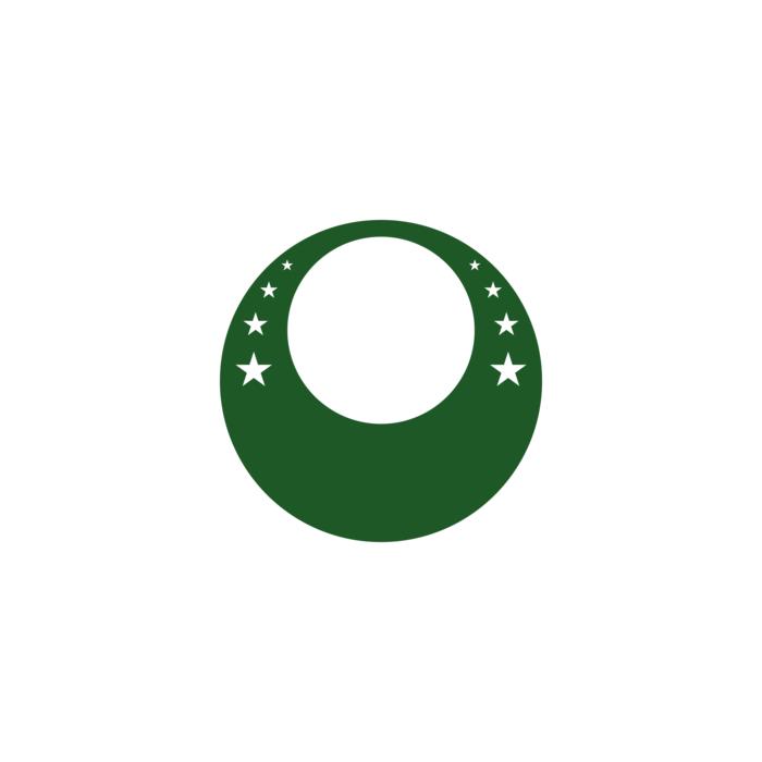 palmeiras football