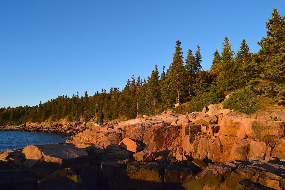 Sunset Trees Rocks Pine