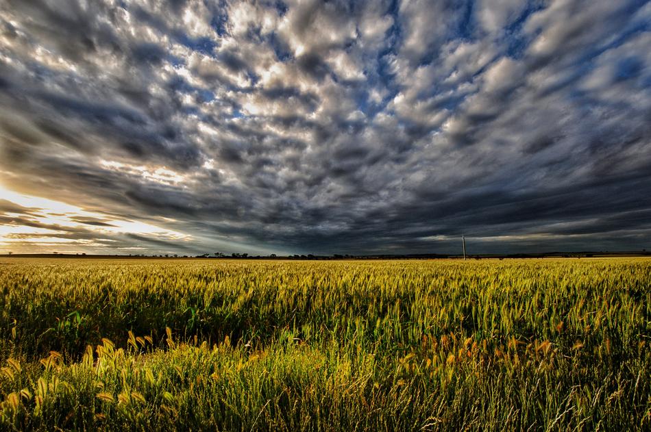 Sunset Moody Pasture