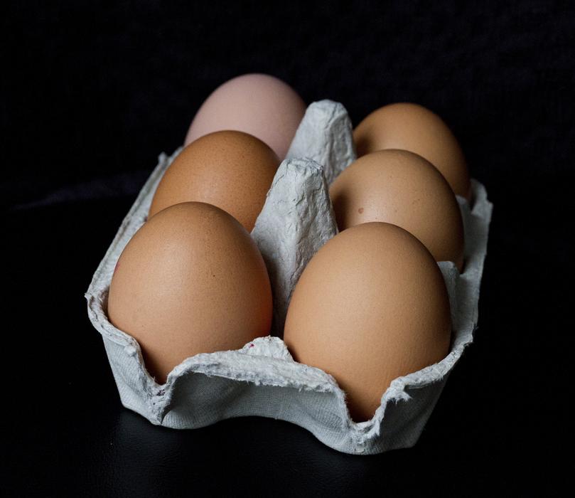 chicken eggs in a box on a black background