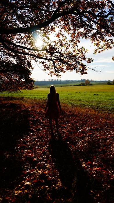 silhouette of a man in the foliage