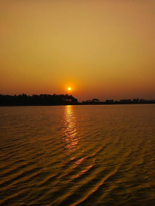 Sunset Nature Silhouette