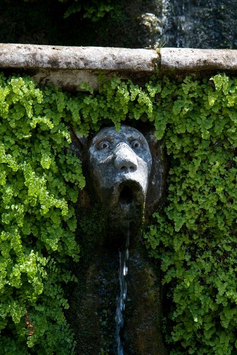 Fountain Person Head