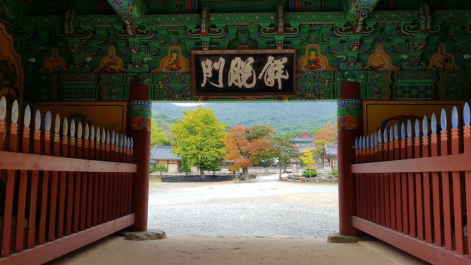autumn forest with chinatown