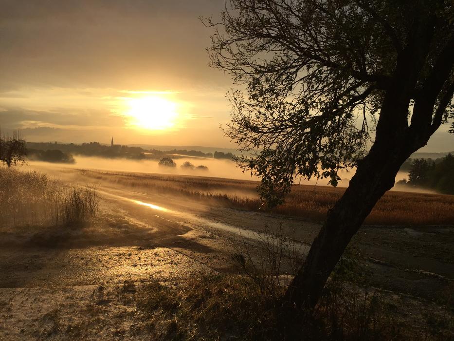 Sunset Fog Hail