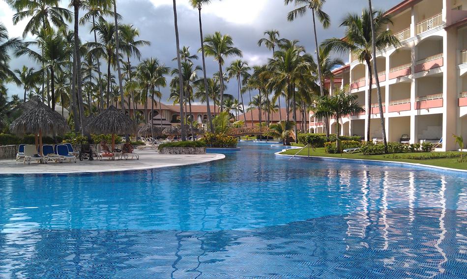 Hotel Vacation Pool Palm trees
