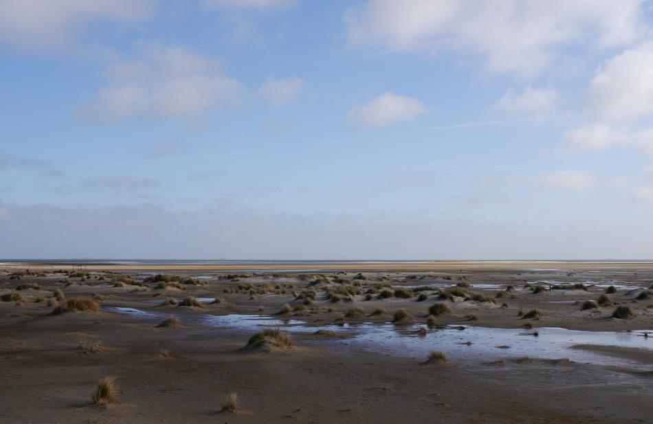 Sea Beach Island