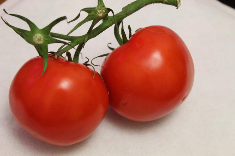 two large tomatoes on branch
