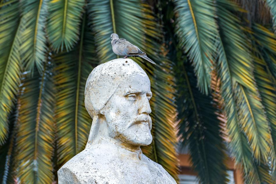 Sculpture Bird Monument