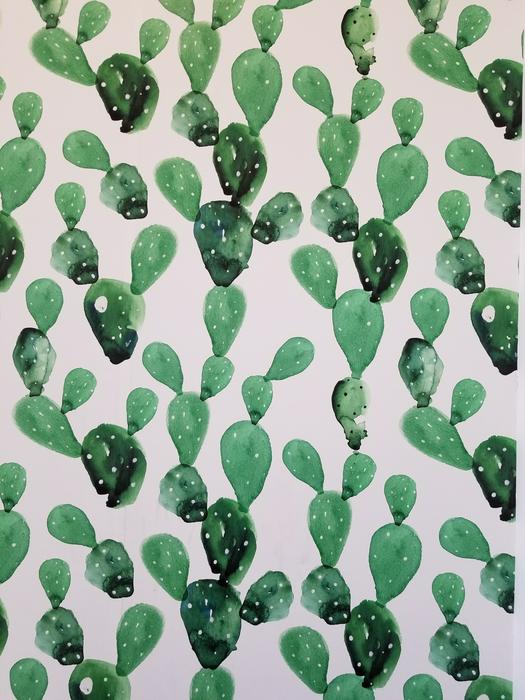 Wallpaper green Cactus Background