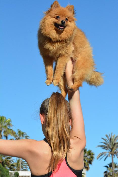 Girl with Dog on Beach