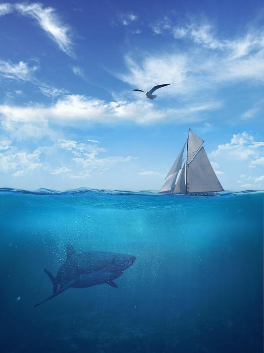 Depth Shark Sail