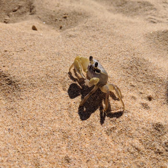 Crab Sand Beach