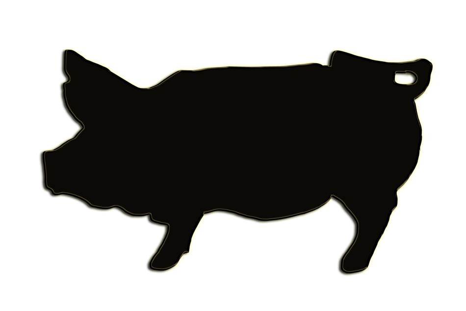pig form decoration isolated