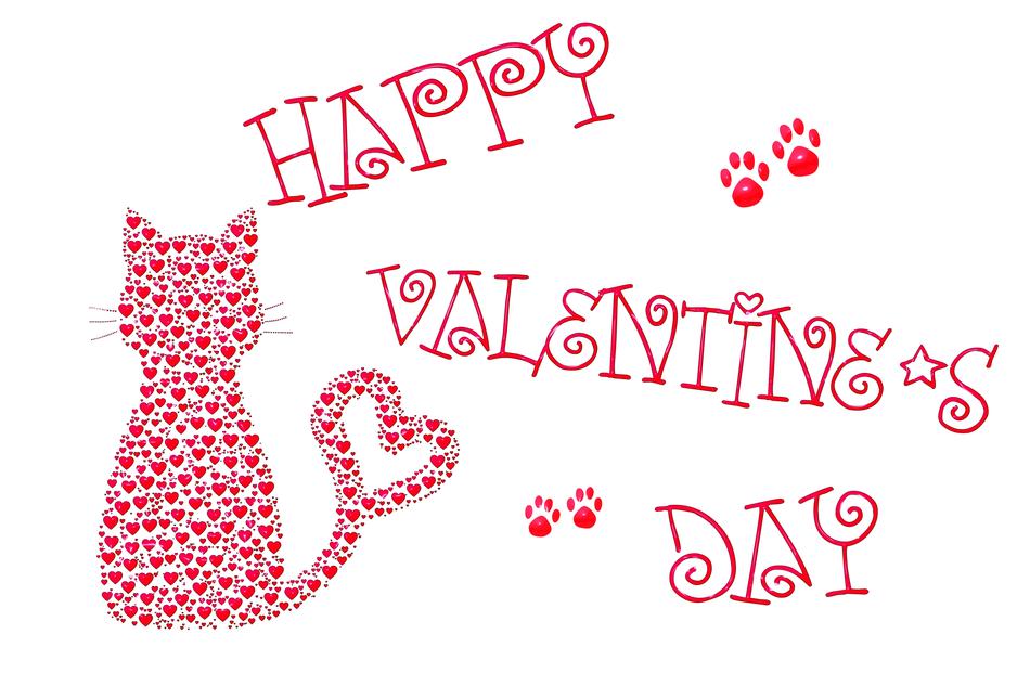 happy love day with the cat