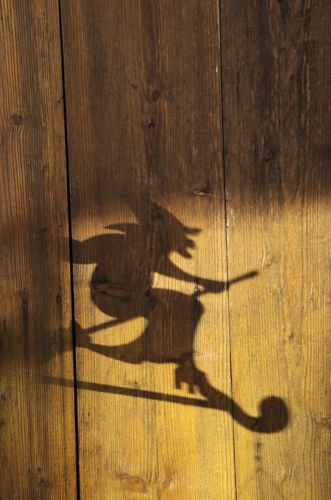 Shadow The Witch Wood
