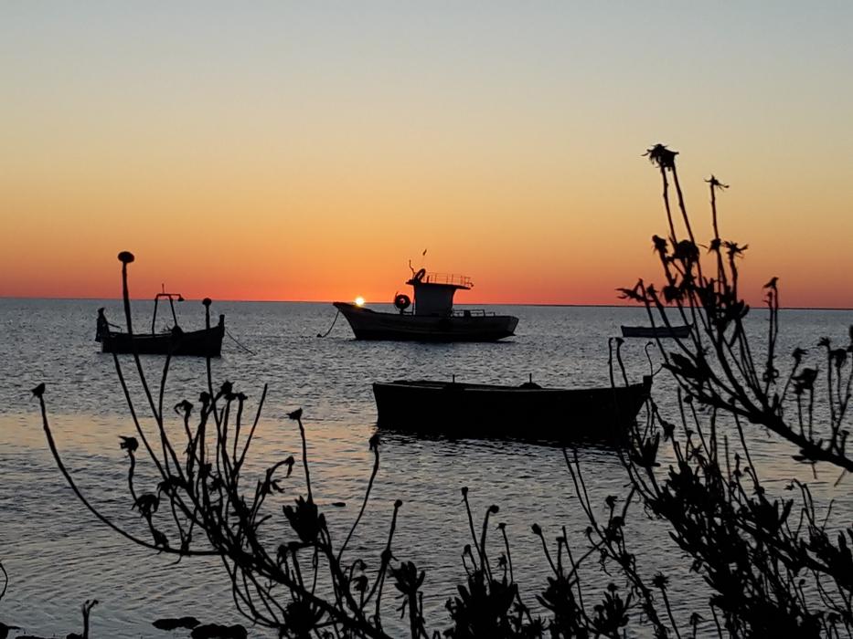 Sunset Boats