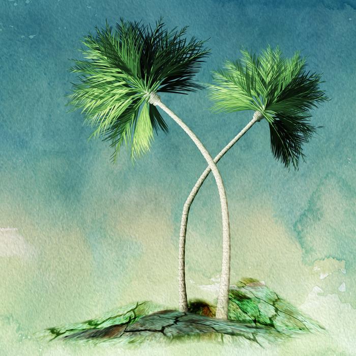 palm trees vacation spring