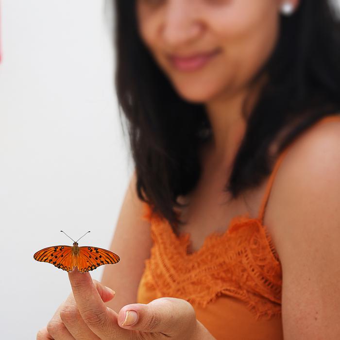 Brunette Butterfly Brazil