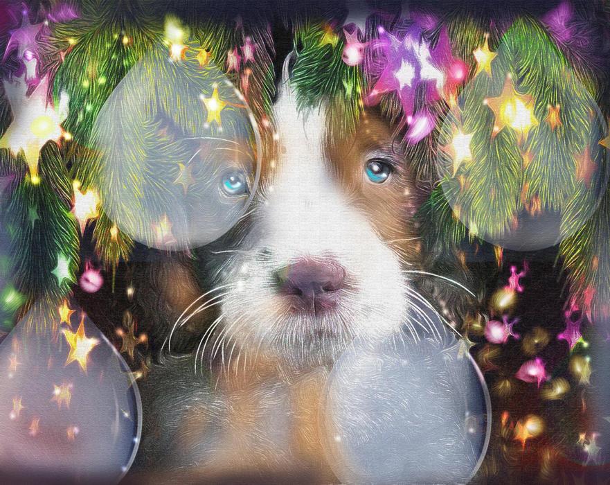 christmas puppy illustration